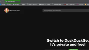 Browser address bar showing local IP 192.168.1.172 highlighted — step to open the Nerdaxe mining dashboard