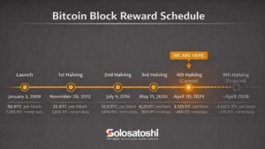 Bitcoin block reward halving schedule timeline by Solo Satoshi showing six milestones from 2009 to 2028. Launch in January 2009 at 50 BTC per block, 1st halving November 2012 at 25 BTC, 2nd halving July 2016 at 12.5 BTC, 3rd halving May 2020 at 6.25 BTC, current 4th halving April 2024 at 3.125 BTC per block, and projected 5th halving around April 2028 at 1.5625 BTC per block.