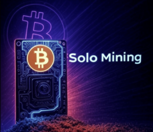 What is a Solo Miner?: A 2025 Guide.