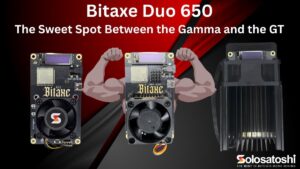 Bitaxe Duo 650 positioned between the Bitaxe Gamma 602 and Bitaxe GT 801 showing size comparison of all three Bitcoin solo miners with the Duo as the sweet spot in the lineup from Solo Satoshi