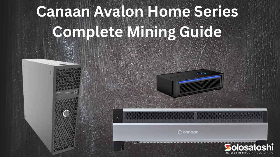 Canaan Avalon Home Series Complete Mining Guide - Solo Satoshi