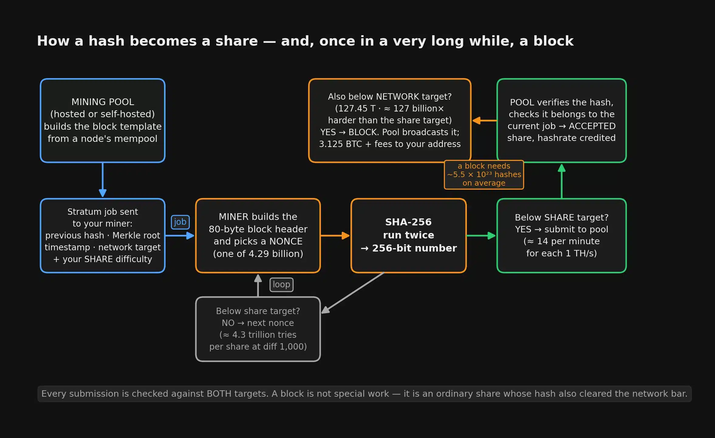 Flow diagram from mining pool to stratum job to miner building an 80-byte header and nonce, through double SHA-256, to the share target check and the network target check, ending in an accepted share or a broadcast block